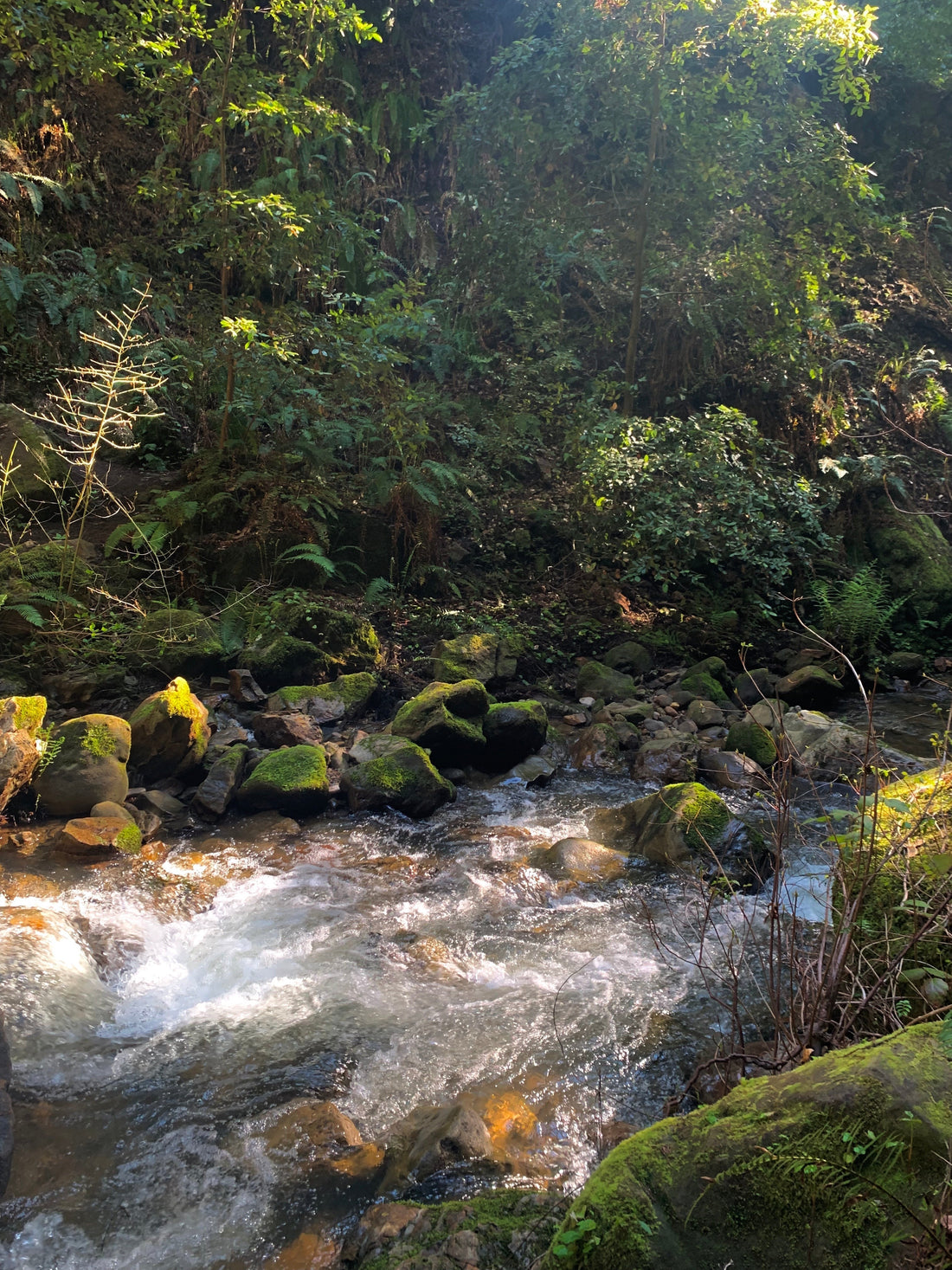 Direction for Redirection