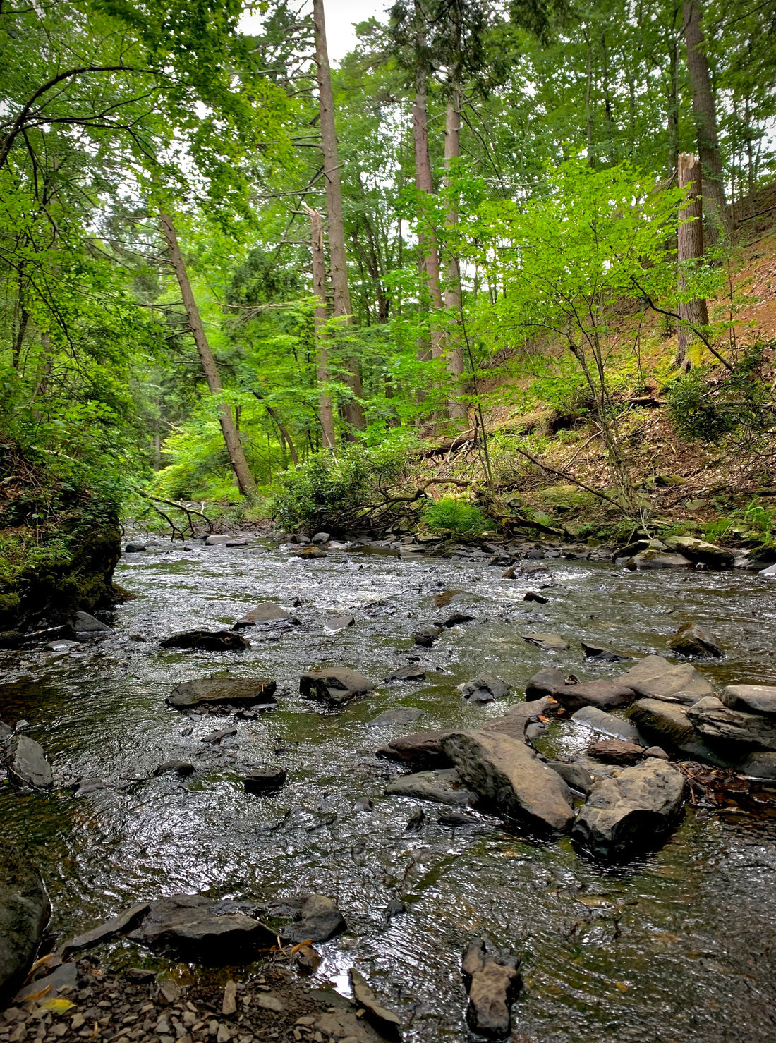 It's Not That Complicated