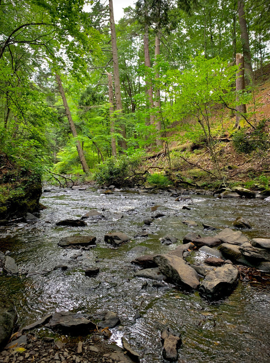 It's Not That Complicated